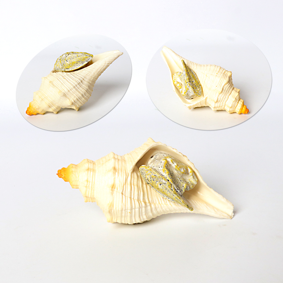 Plastic Prehistoric Sea Creatu - Kids Toys China recension och pris