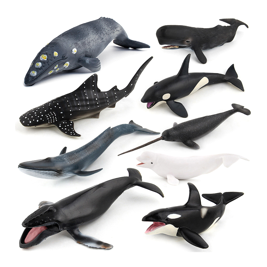 Realistic Humpback Whale Sperm - Kids Toys China recension och pris