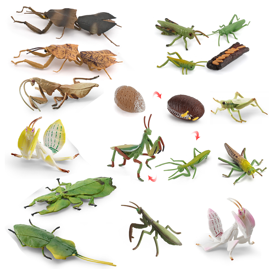 Realistic Orchid Mantis Dead L - Kids Toys China recension och pris